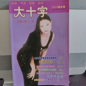 《大十字》诗刊 2004年卷 诗歌民刊