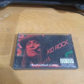 KID ROCK  磁带