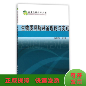 生物质燃烧装备理论与实践