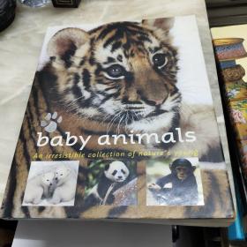 Baby Animals: An Irresistible Collection of Nature's Young 英文原版-《动物宝宝：大自然不可抗拒的收藏》