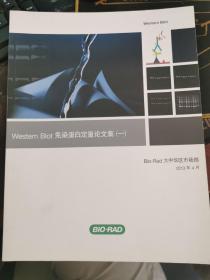 Westerm Blot 免染蛋白定量论文集(一)【全英文  49页】伯乐生命医学公司