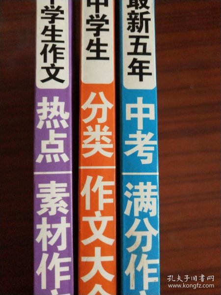 中学生作文宝典（全4册） 素材作文  中考满分作文  分类作文大全