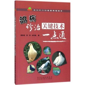 【正版新书】鸽病诊治关键技术一点通