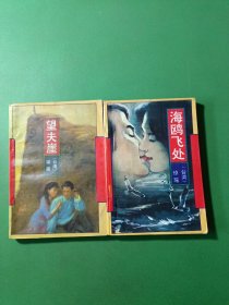 琼瑶作品集 2本合售