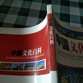 中华文化百科（下）