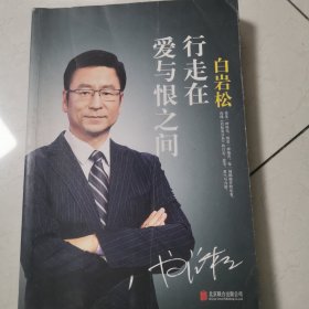 白岩松 行走在爱与恨之间