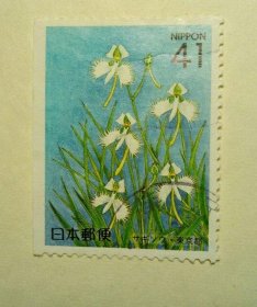 日邮·日本地方邮票信销·樱花目录编号R105P 1991年东京都 兰科植物-鹭草小本票 41円1全（小本票左边）