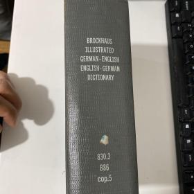 Brockhaus Illustrated Dictionary, English-German, German-English