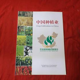 中国种植业