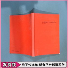 慕尼黑的清真寺译文纪实
