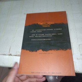 自觉资本主义时代的企业模式——资本主义研究丛书