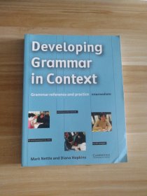 英文原版 Developing Grammar in Context Intermediate without answers: Grammar Reference and Practice