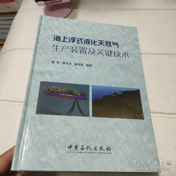 海上浮式液化天然气生产装置及关键技术