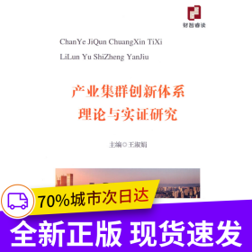產(chǎn)業(yè)集群創(chuàng)新體系理論與實證研究