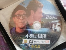 小鬼与绑匪 DVD光盘1张 正版裸碟非卖品