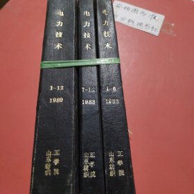 杂志合订本 电力技术 1988年1-12期，1989年1-12期 共3本24期 2.9千克