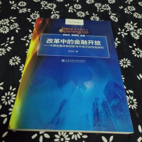 智库报告·新开放论丛·改革中的金融开放：中国金融体制创新与市场开放风险研究