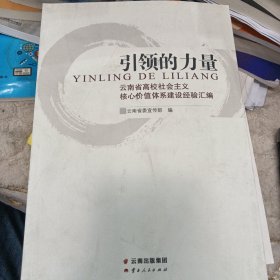 引领的力量 : 云南省高校社会主义核心价值体系建 设经验汇编