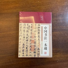 中国书法一本通 青少年中国传世书法技法书法大全 传世书法培训教材书