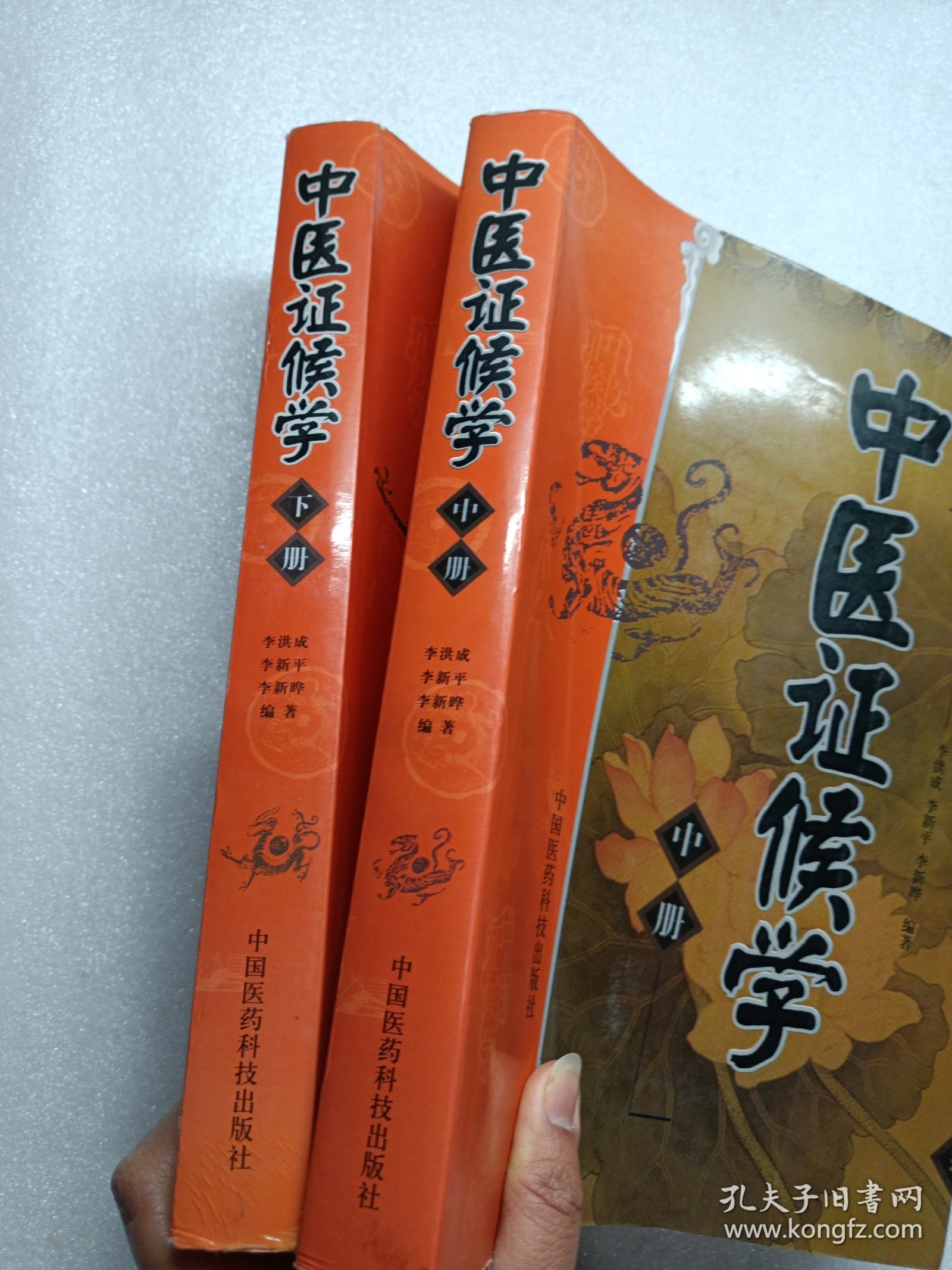 中医证候学（中下册）