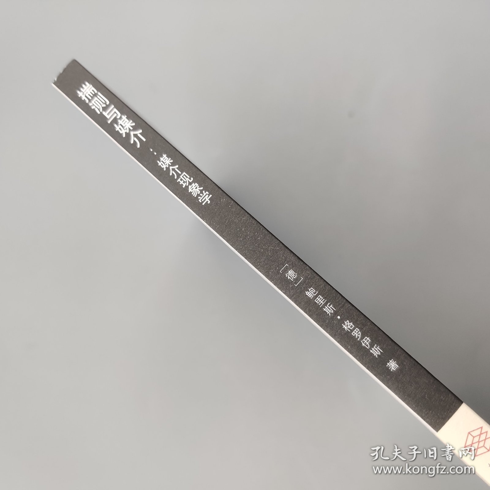 揣测与媒介：媒介体现象学