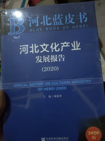 河北蓝皮书：河北文化产业发展报告（2020）