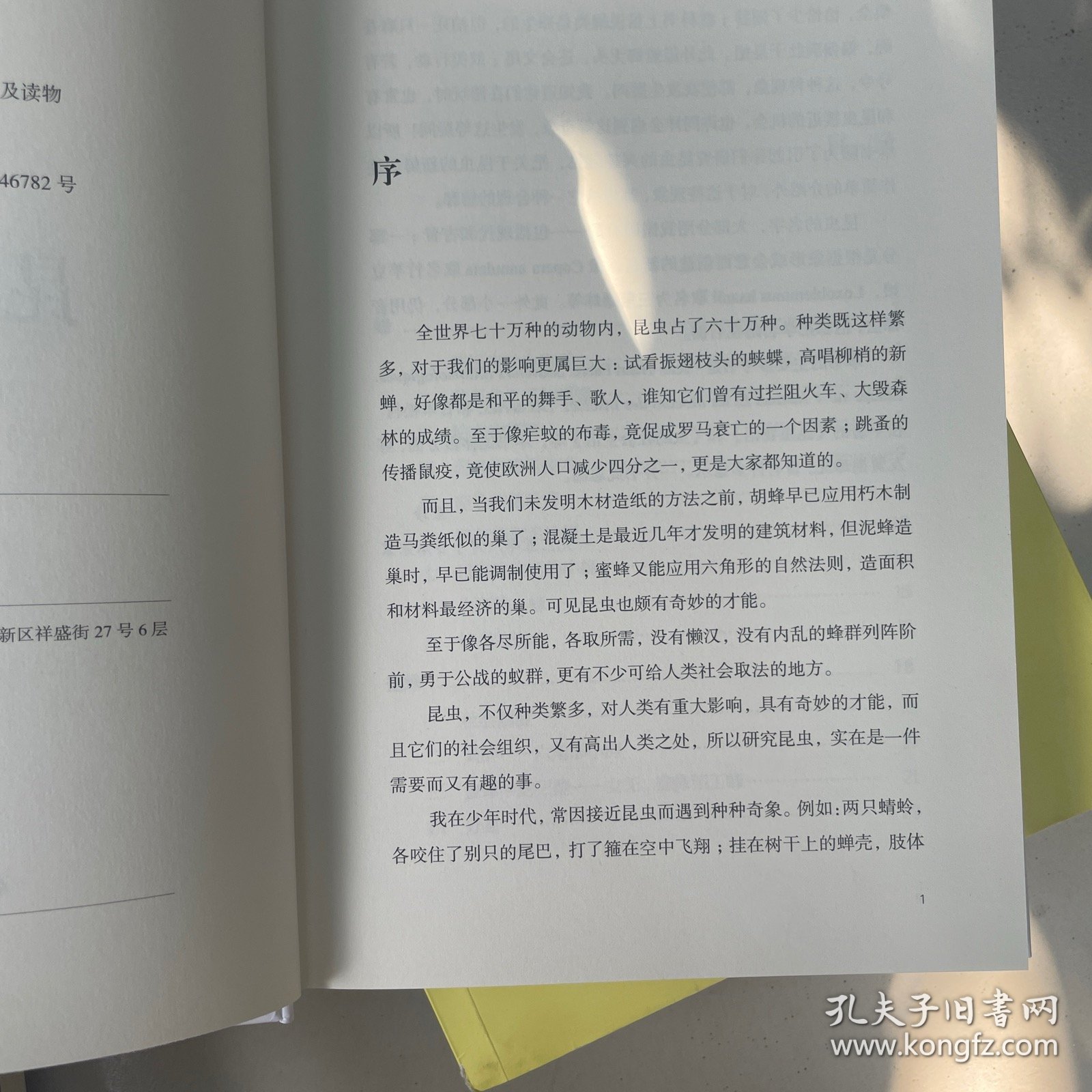 昆虫漫话/昨日书林