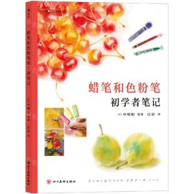 蜡笔和色粉笔初学者笔记  读日本艺术名校老师剖析名画，看懂画才能更会画