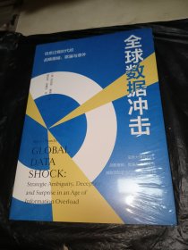 全球数据冲击 : 信息过载时代的战略模糊、欺骗与意外