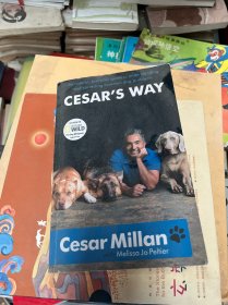 Cesar's Way 塞萨尔的方法