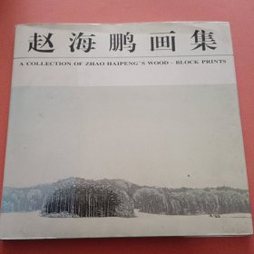 赵海鹏画集【赵海鹏 签赠本】