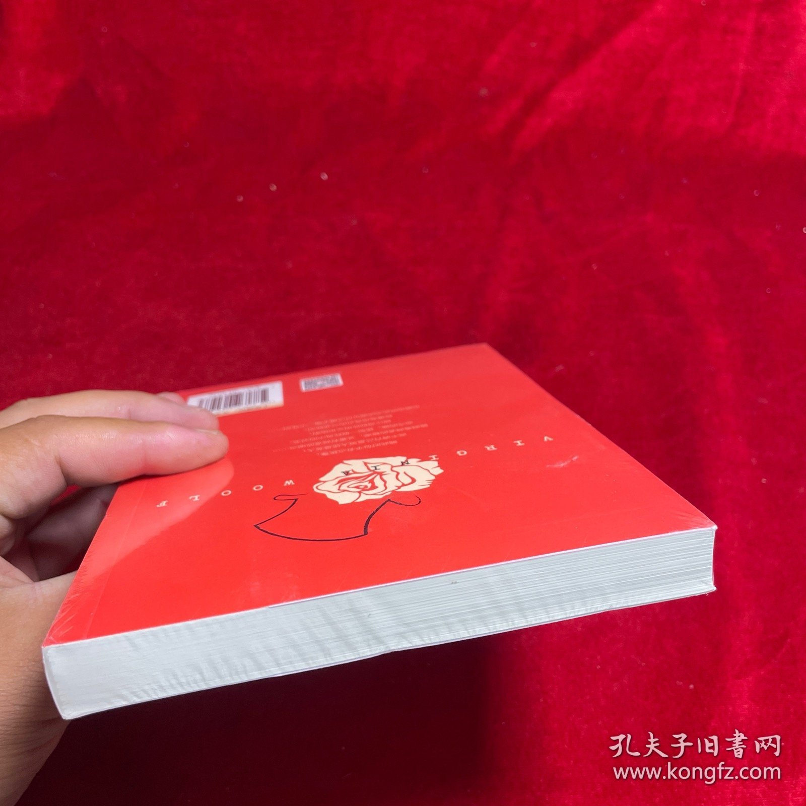 奥兰多