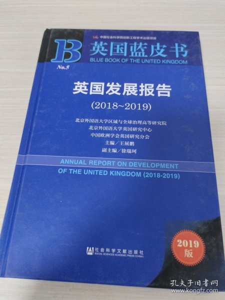 英国发展报告