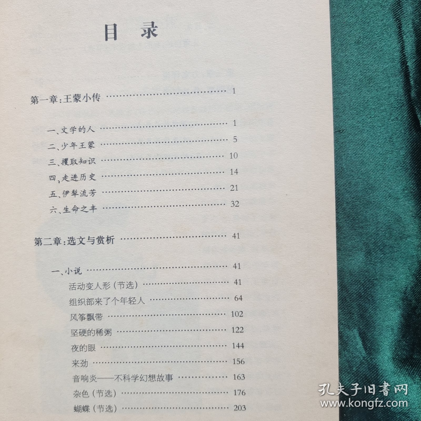 速读中现代文学大师与名家丛书 王蒙卷