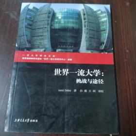 世界一流大学：挑战与途径