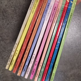 （中国传统手工技艺丛书）全12册包括中式盘扣制作技法，木雕制作技法，花结，扎染，根雕，蜡染，纸扎，剪纸，漆器，紫砂壶，草编，拓片拓本制作技法