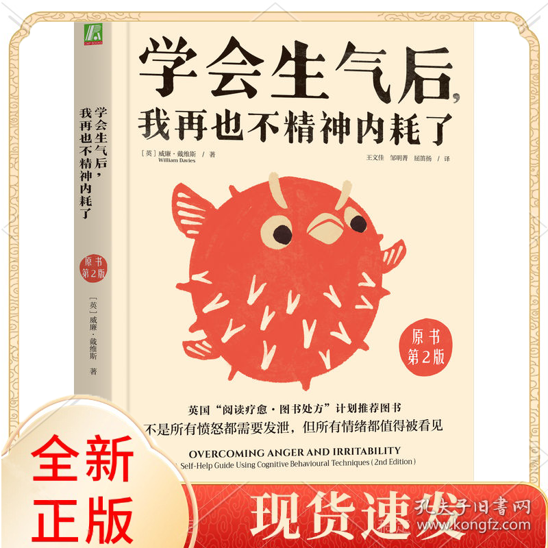 学会生气后，我再也不精神内耗了（原书第2版）