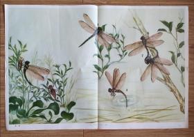 蜻蜓（上海教育出版社）