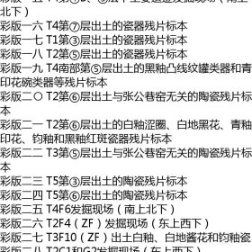 预售  汝州张公巷窑遗址