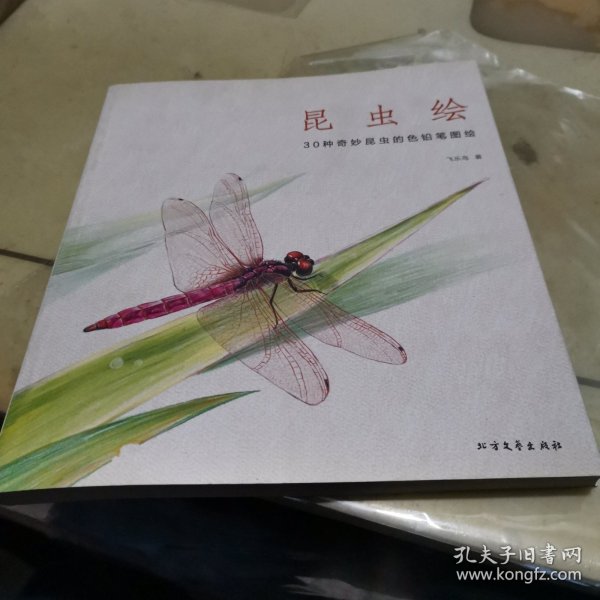 昆虫绘：30种奇妙昆虫的色铅笔图绘