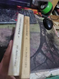 中国现代文学史参考资料 上下 （ 品相不错、正版、版次见图） （租46