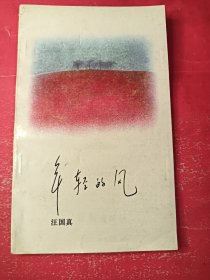 年轻的风 32开