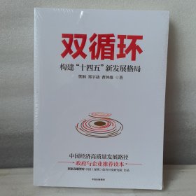 双循环构建十四五新发展格局双循环与我们的关系樊纲作品国家高端智库出品政府和企业推荐读本