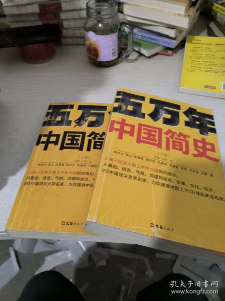 五万年中国简史.下册（从头一批智人踏上中华大地到20世纪，可能是时间跨度zui长的中国史）