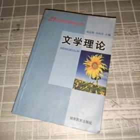文学理论 湖南教育出版社