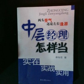 中层经理怎样当：实在实战实用