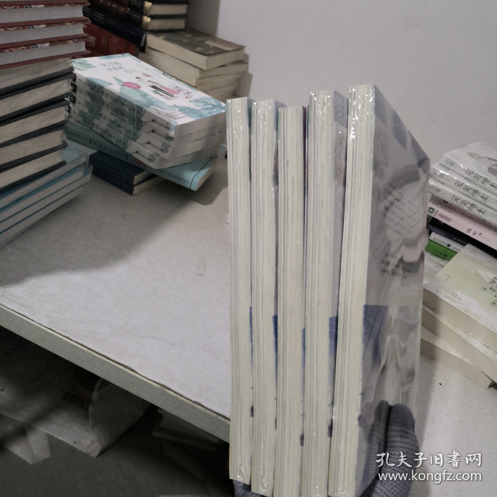 乍放的玫瑰（名师导读美绘版）/暖心美读书