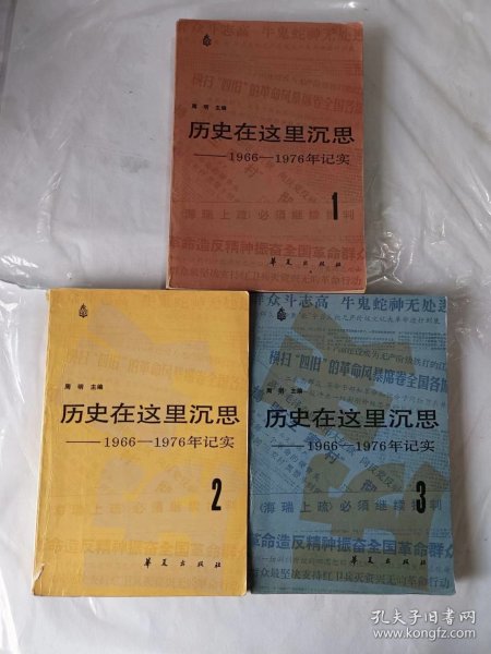 历史在这里沉思三册全