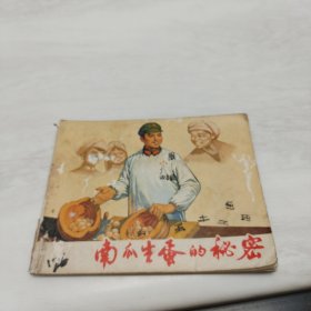 连环画:南瓜生蛋的秘密