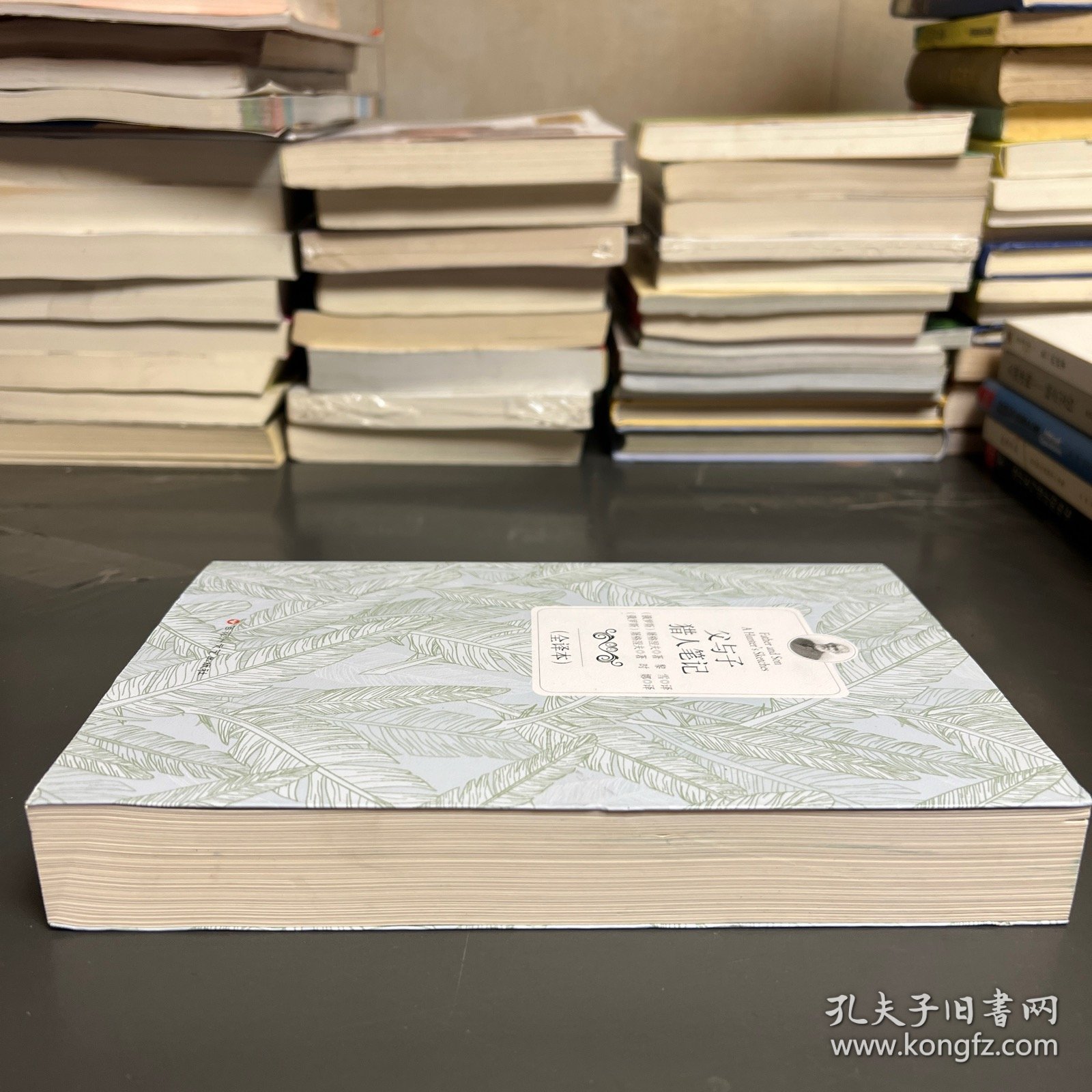 父与子 猎人笔记（全译本）